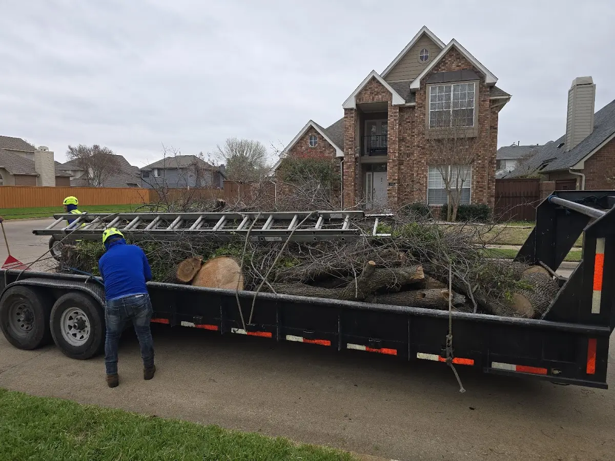 Expert Tree Fertilization with proper safety equipment in Garrettsville